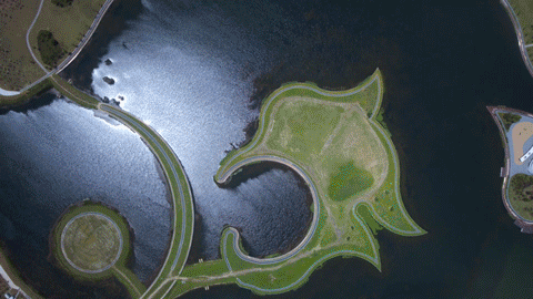 奉贤区全球推介！打造“上海之鱼”城市客厅，