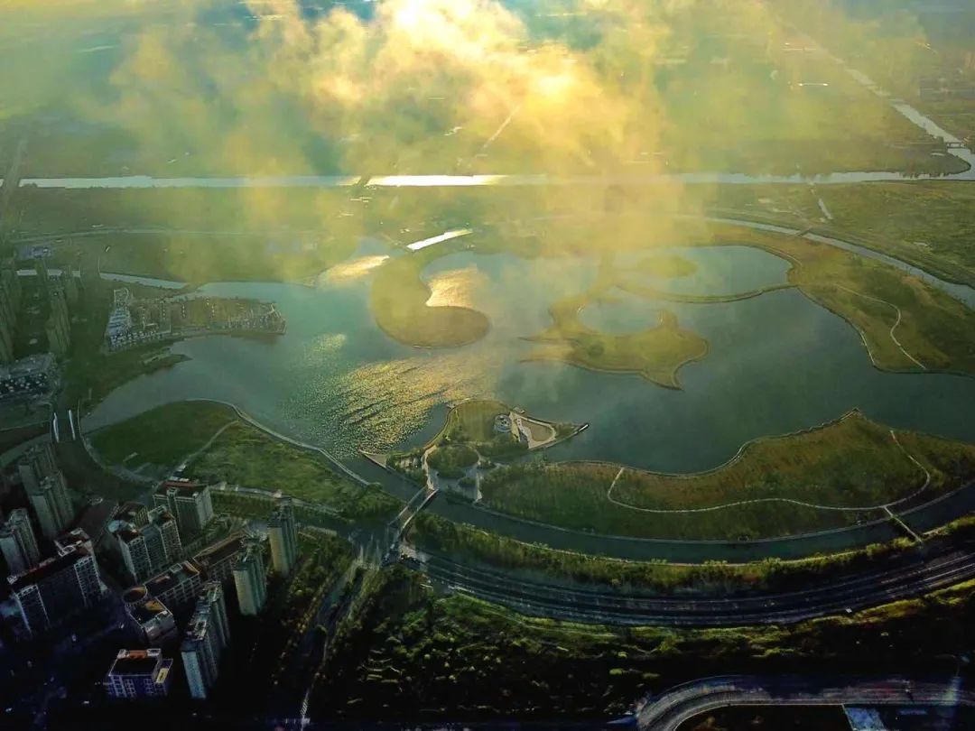 奉贤区全球推介！打造“上海之鱼”城市客厅，