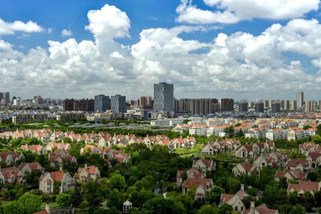 奉贤区全球推介！打造“上海之鱼”城市客厅，