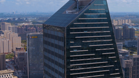 奉贤区全球推介！打造“上海之鱼”城市客厅，