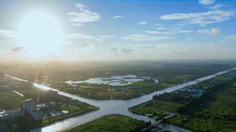 奉贤区全球推介！打造“上海之鱼”城市客厅，