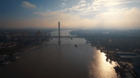 奉贤区全球推介！打造“上海之鱼”城市客厅，