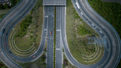 奉贤区全球推介！打造“上海之鱼”城市客厅，